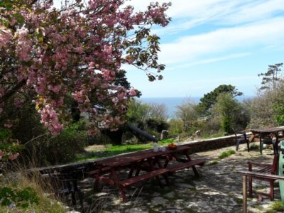 Living Mindfully through Art and Nature