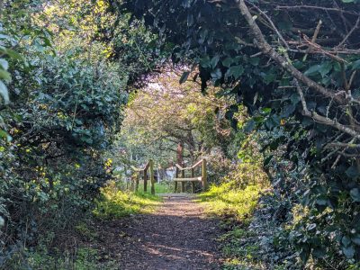 Inspired by Nature  - Creative retreat with Sandie Cottee