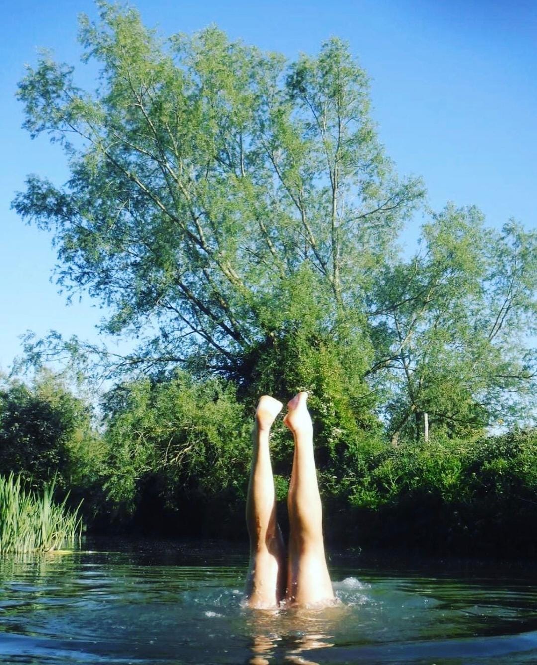 Pair of legs disappearing into river or pond water